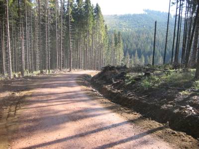 LC Pod Kaverou, Levočské vrchy - Lesy mesta Levoča