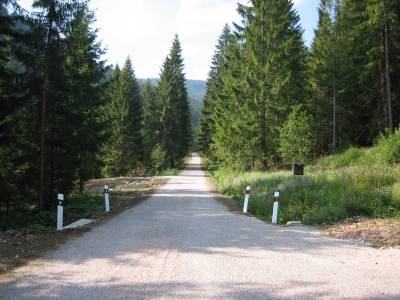 LC Surovec, k.ú. Nálepkovo - OL Nálepkovo