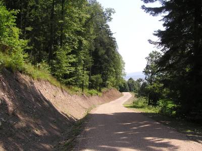 LC Vysova, k.ú. Poprad - ML poprad